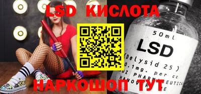 МДПВ Кингисепп