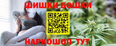 МДПВ Кингисепп